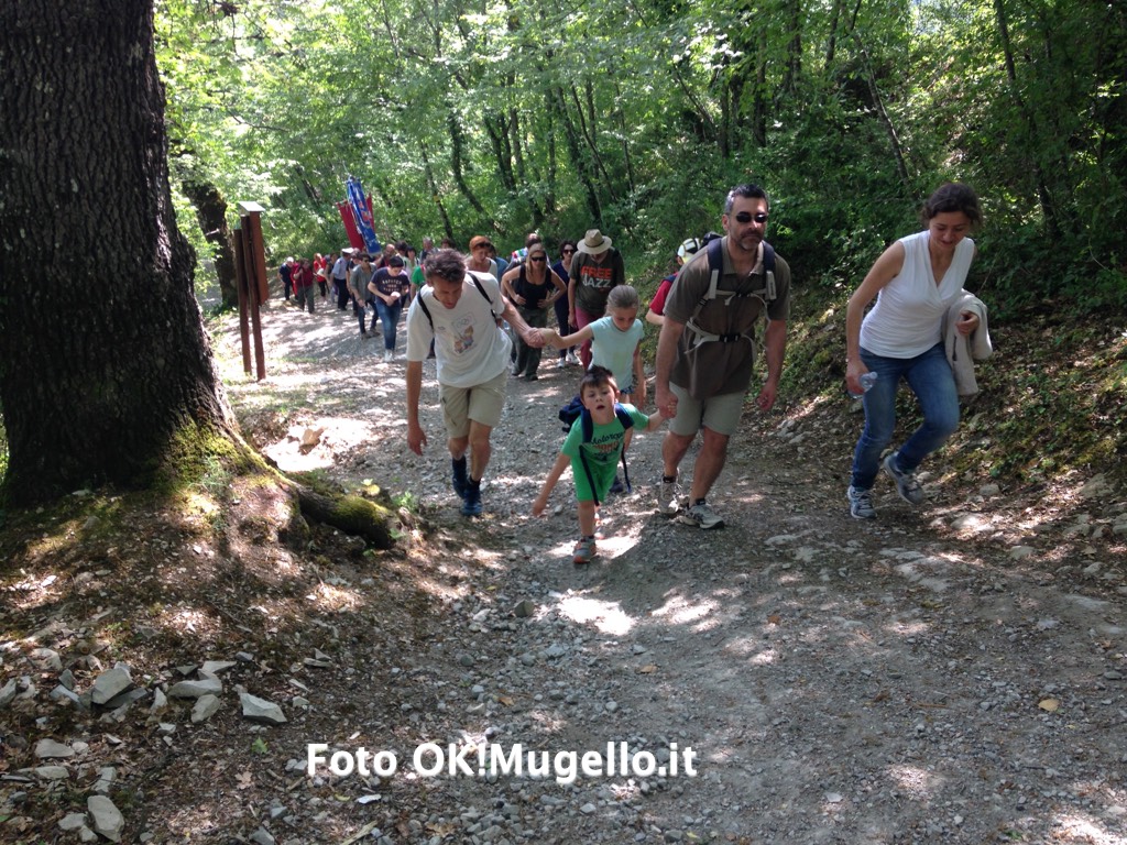 Barbiana. Ragazza emiliana si sente male sul Sentiero della Costituzione, non è grave