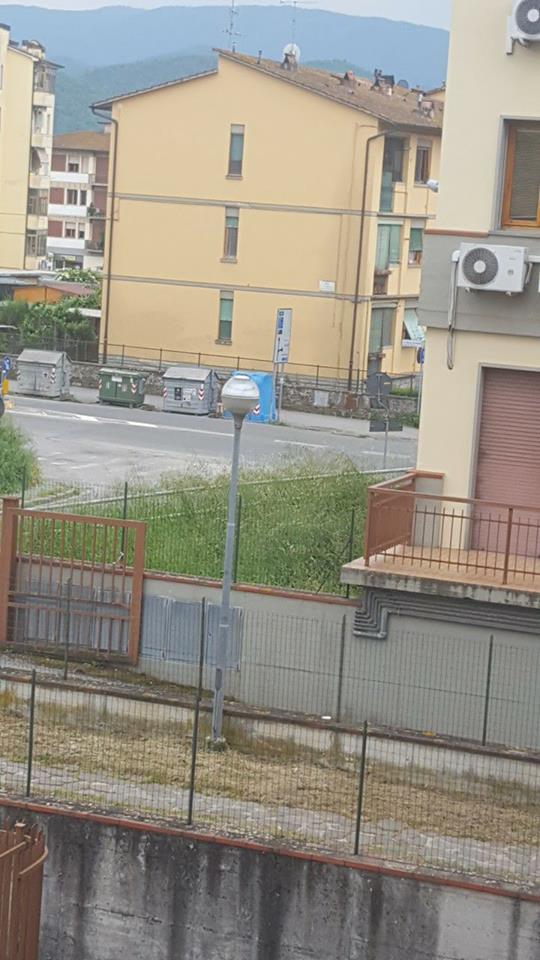 Sommersi dall'erba 2. Le vostre foto e i vostri commenti