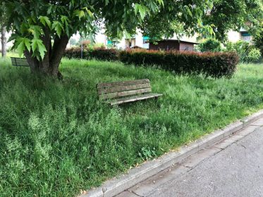 Via Barducci borgo erba