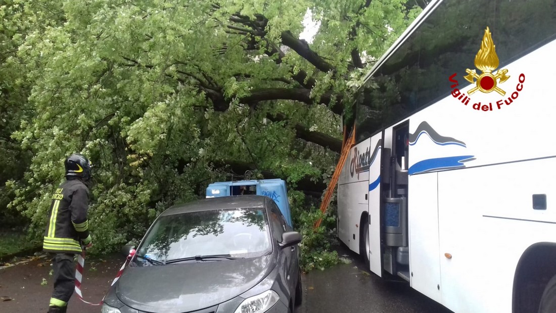 Cade albero su pullman in transito a Firenze Sud. Previste code in direzione Valdisieve.