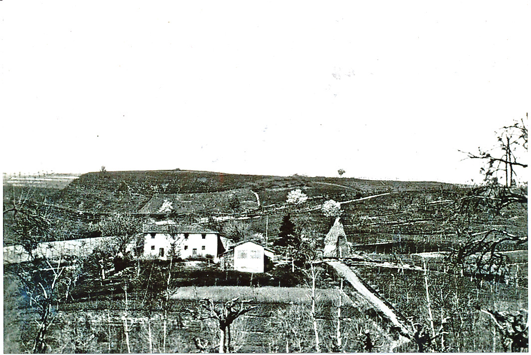 Sorpresa: un nuovo Foto-Indovinello di OK!Mugello. Di che podere si tratta?