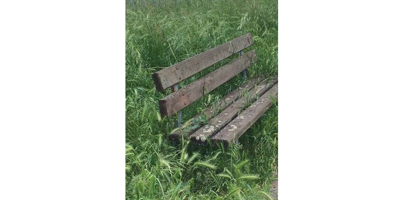 Sommersi dall'erba? Le vostre foto su OK!Mugello