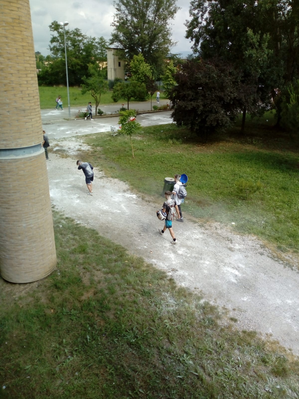 farina giotto ulivi 2