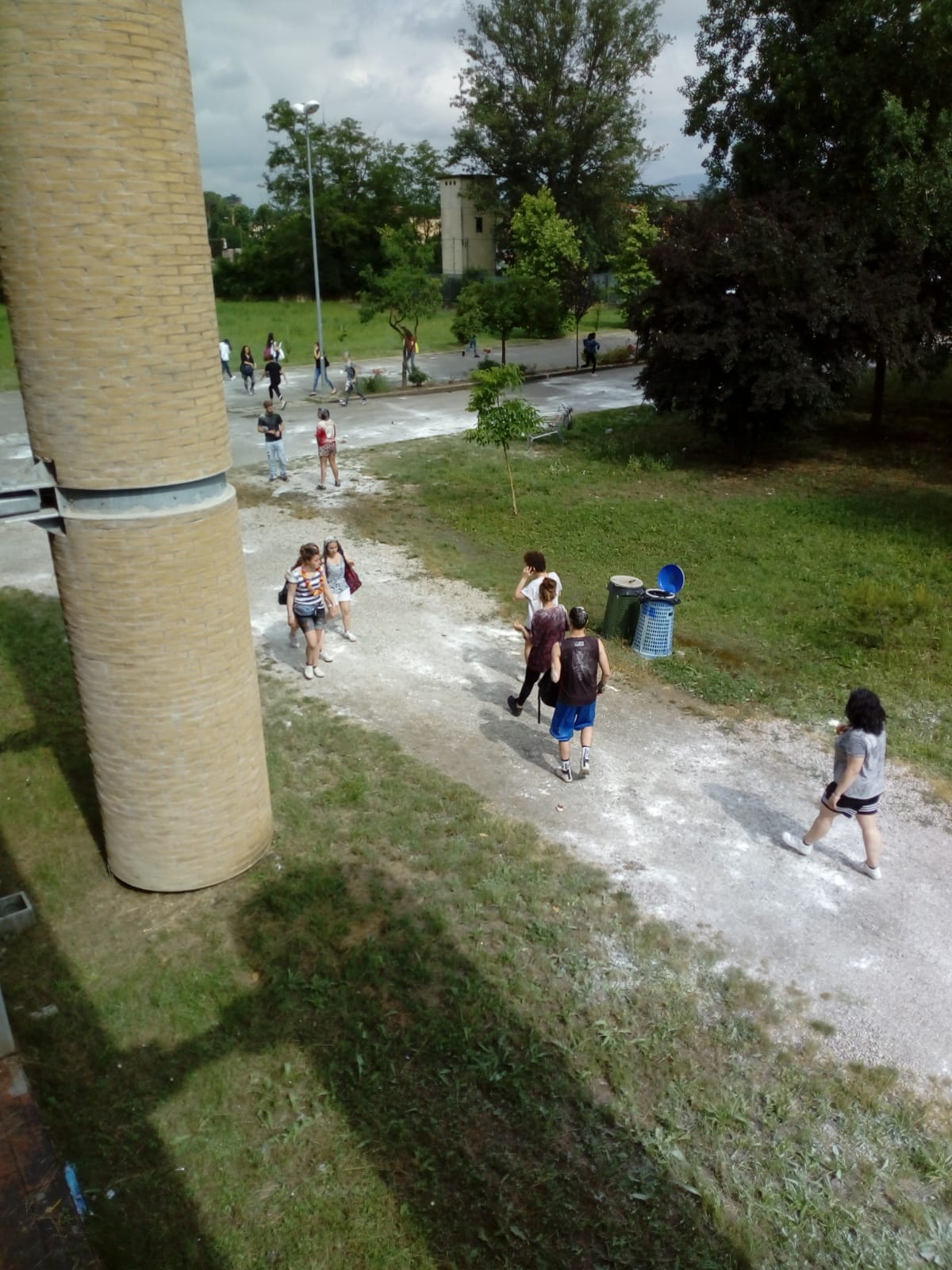 farina giotto ulivi 3