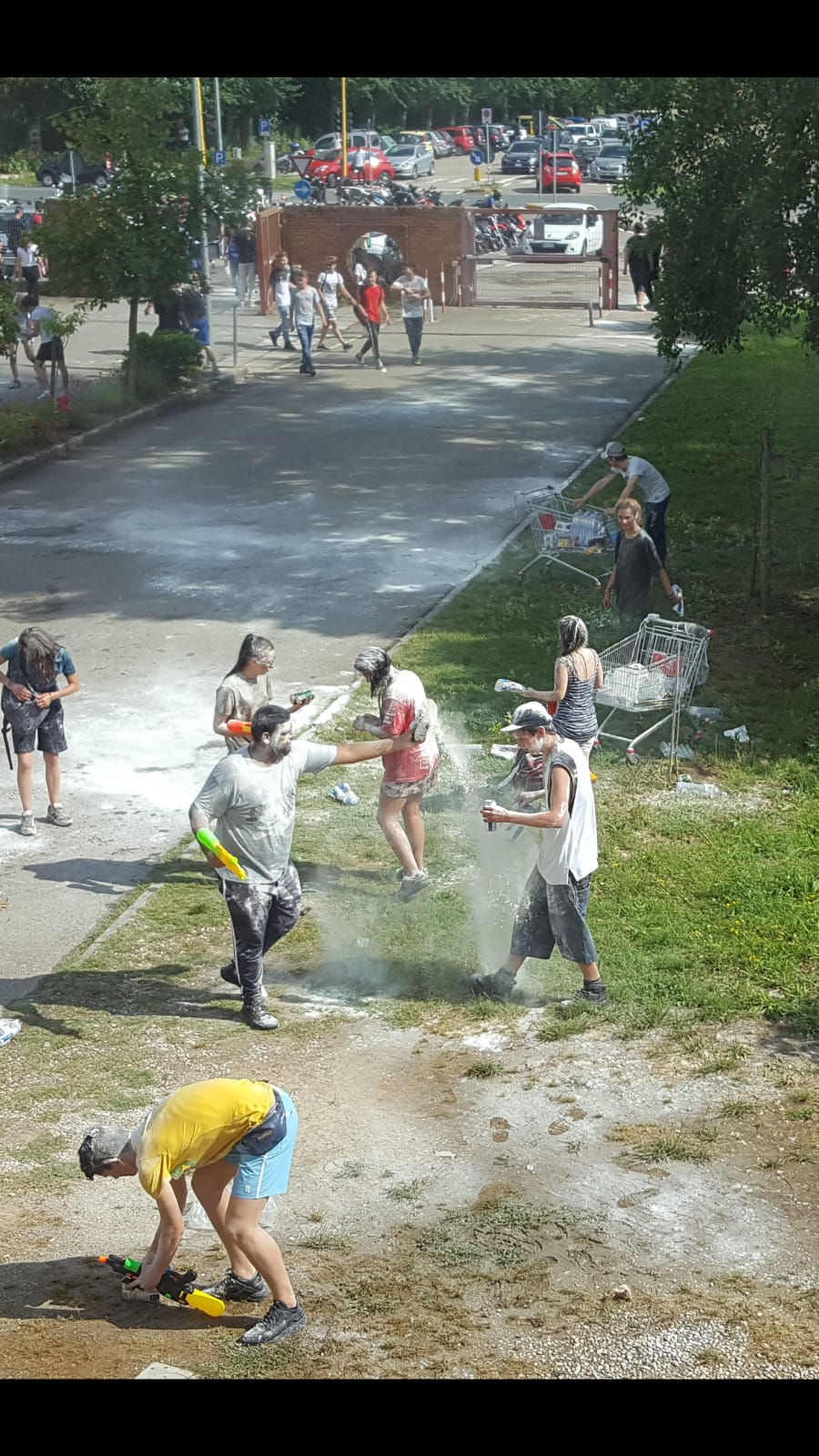 farina giotto ulivi 4