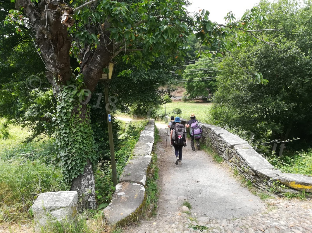 Verso Santiago: il cammino continua e Santiago si avvicina