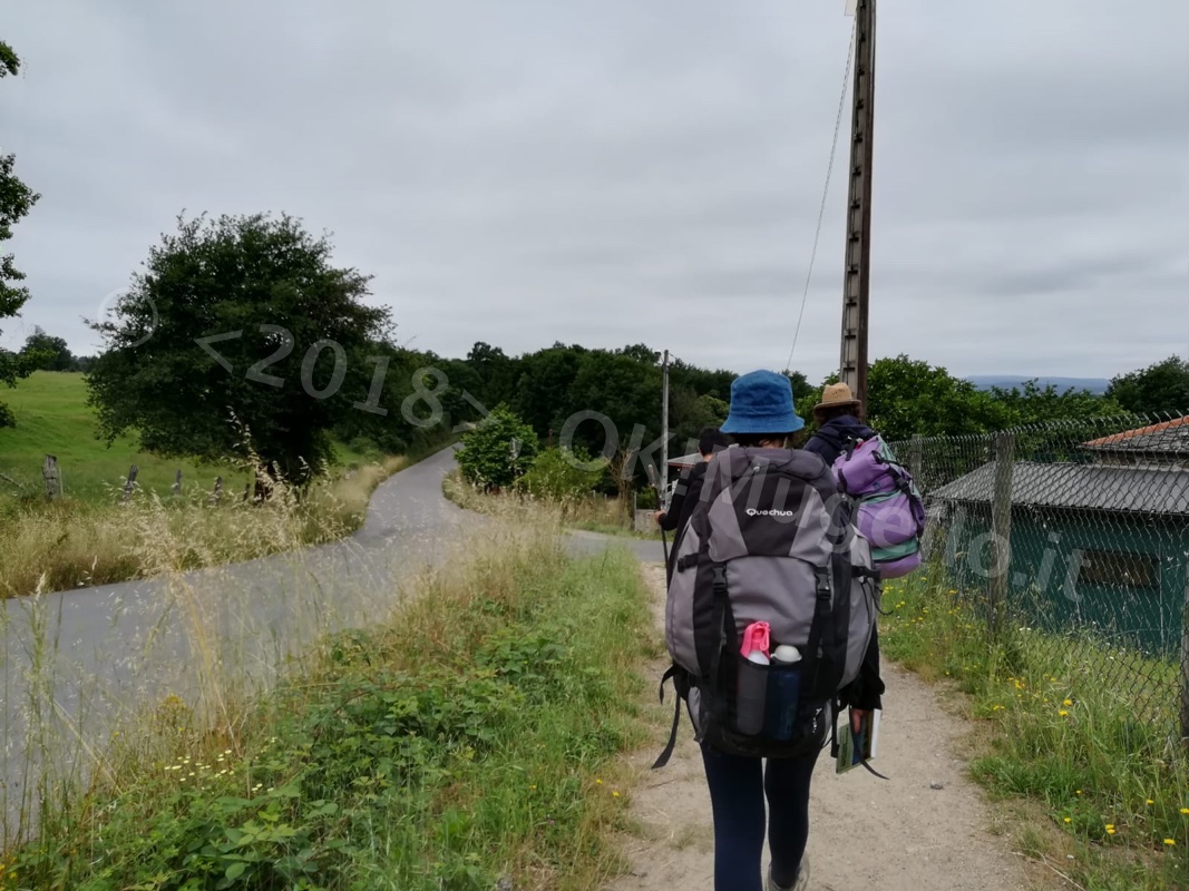 Verso Santiago: il cammino continua e Santiago si avvicina