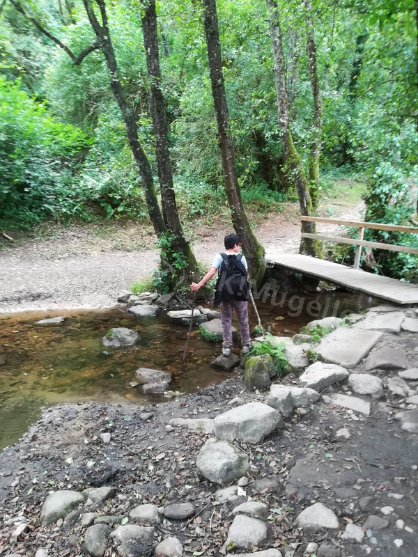 Verso Santiago: il cammino continua e Santiago si avvicina