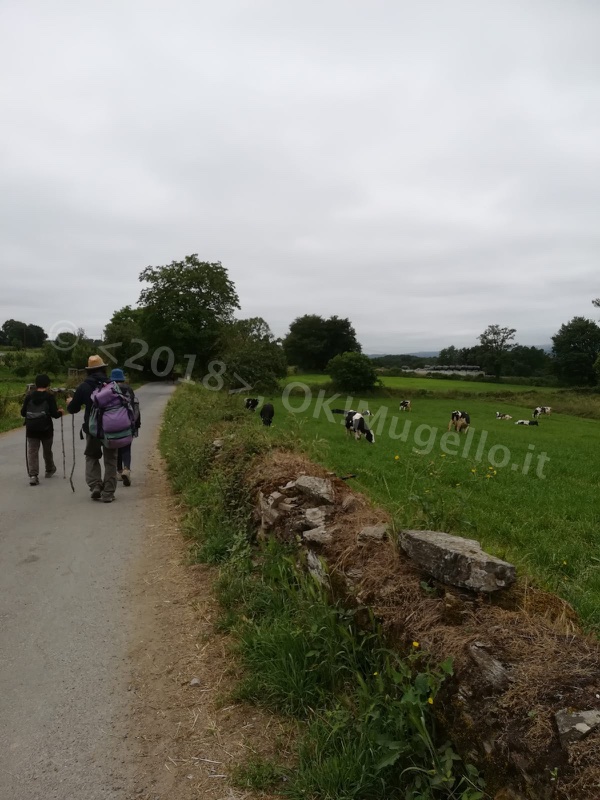 Verso Santiago: il cammino continua e Santiago si avvicina