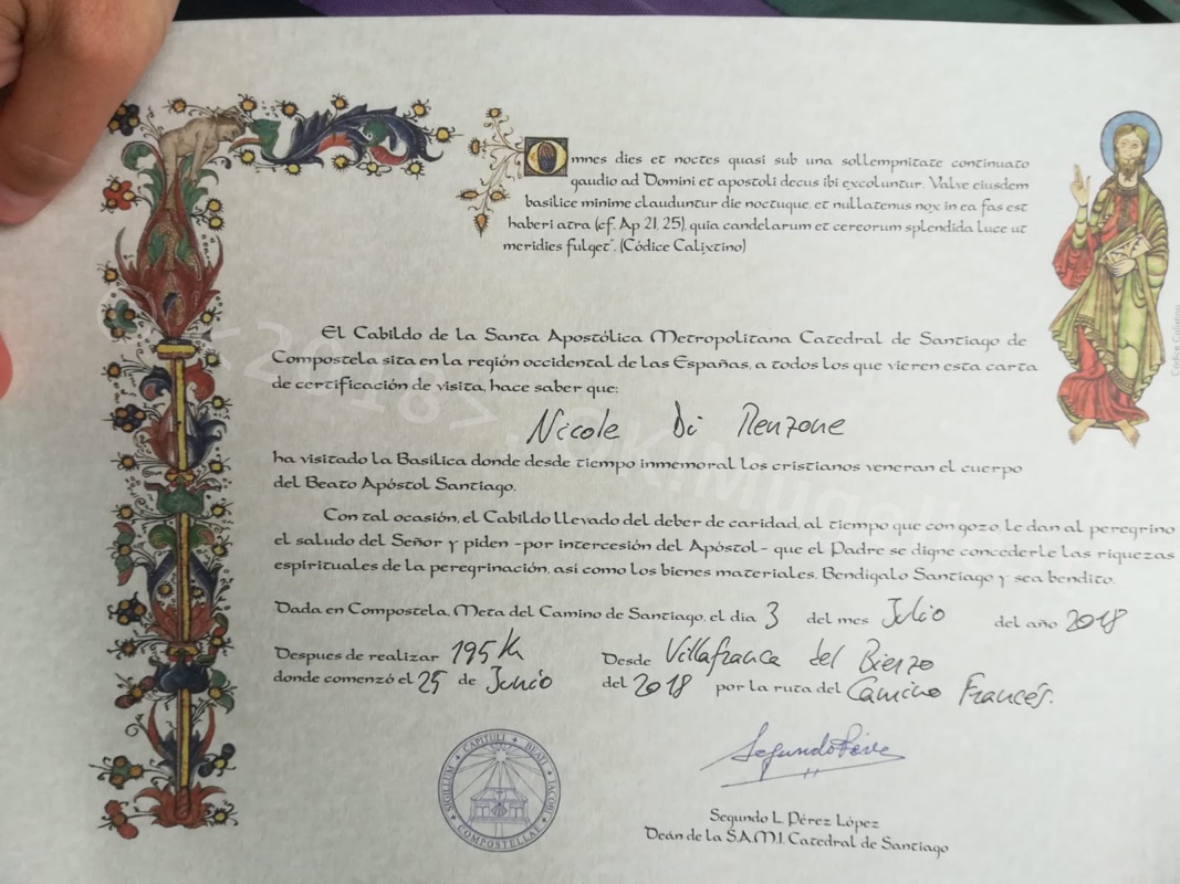 Finalmente la Cattedrale! Si conclude con successo il viaggio verso Santiago.