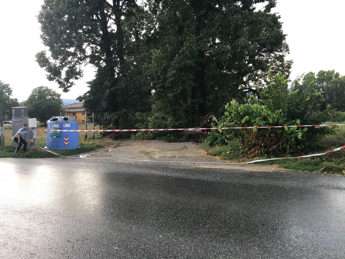 alberi caduti villa martini