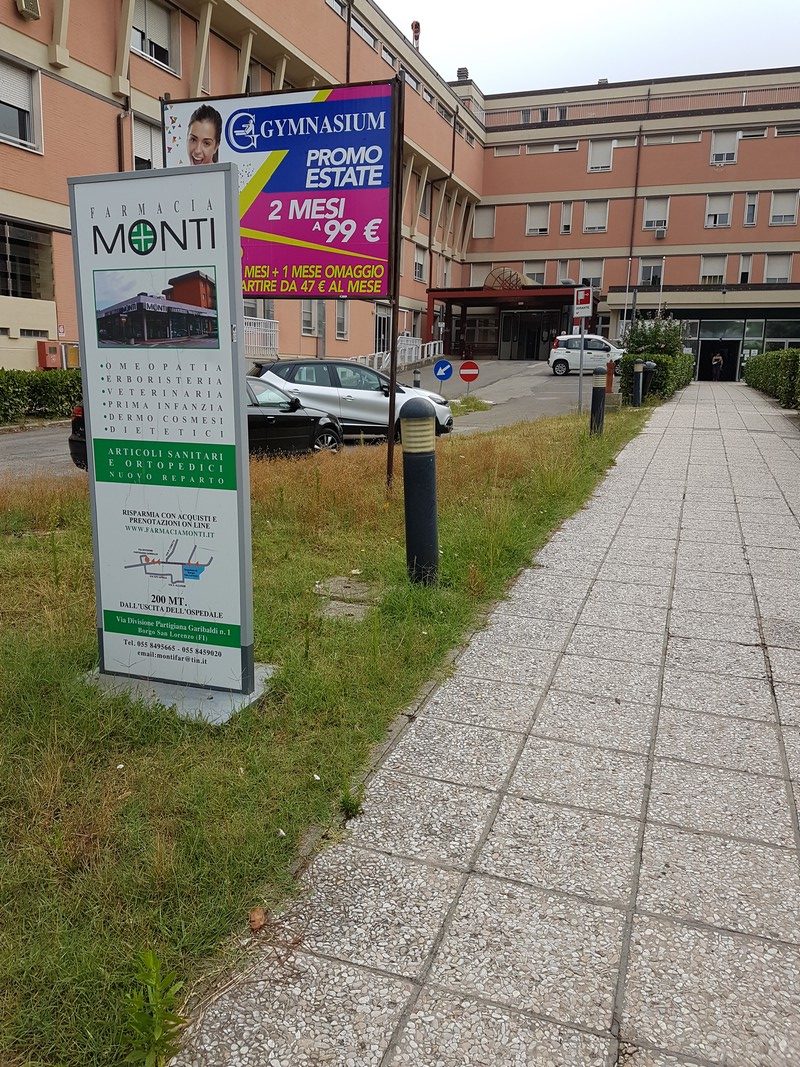 Erba alta nel giardino dell'ospedale. Una segnalazione