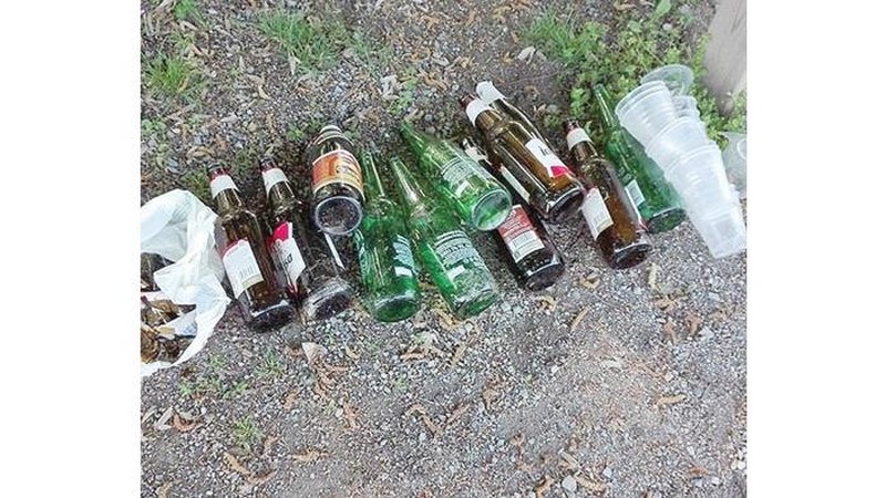 Parchi. Stop a alcol e vetro, nuova ordinanza a Borgo