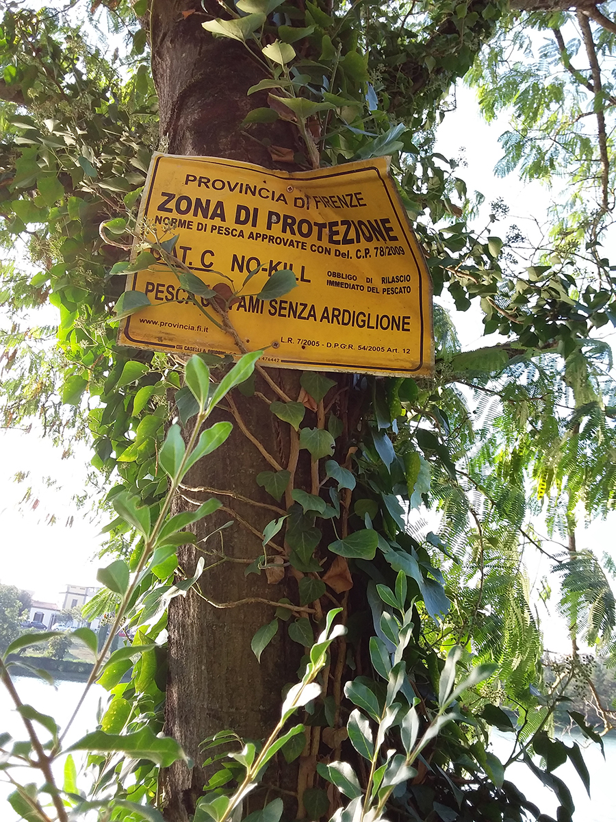 Vicchio. Una poesia amara per il Lago di Montelleri