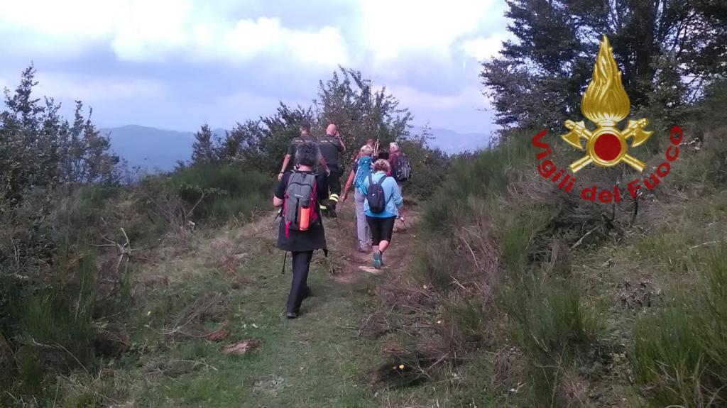 Infortunata nel bosco. Codice verde per la donna (58enne) portata in ospedale. La foto