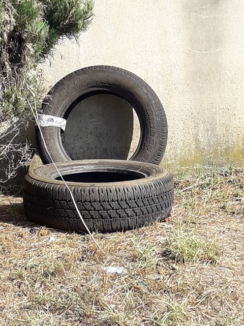 rifiuti cimitero vicchio 2