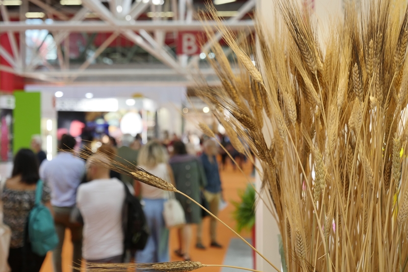 OK!BIO: Il diavolo e l’acquasanta, la GDO e il bio