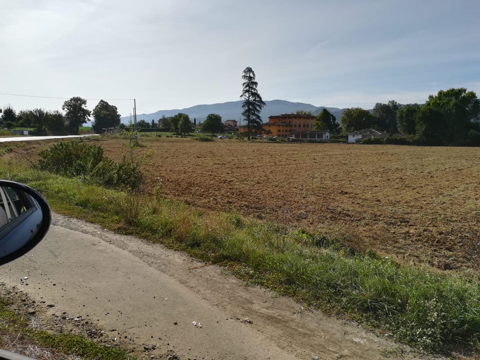 Villa Martini il viale senza i Tigli. Foto del giorno