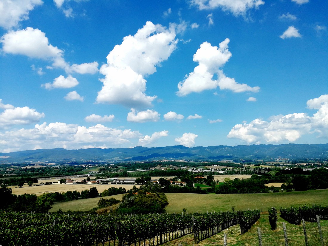 Cibo ed eccellenze. Il Mugello ai Georgofili. Programma del 30 ottobre