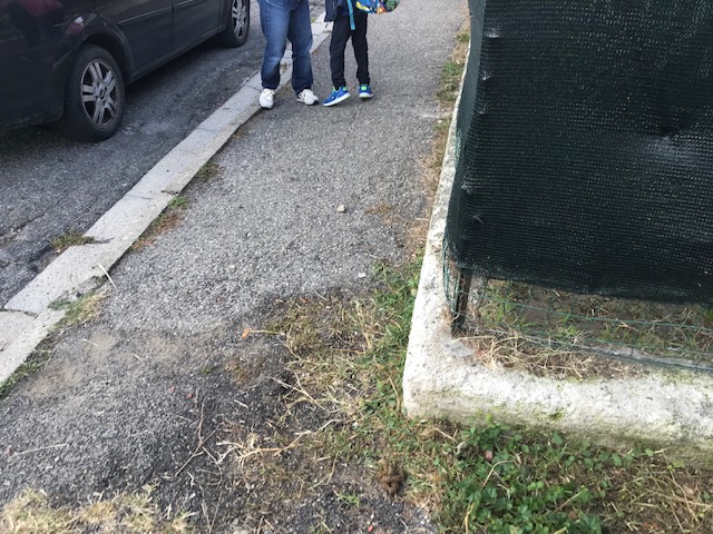 Lettori reporter. Dai 'ricordini' dei cani alla sosta alla Soterna