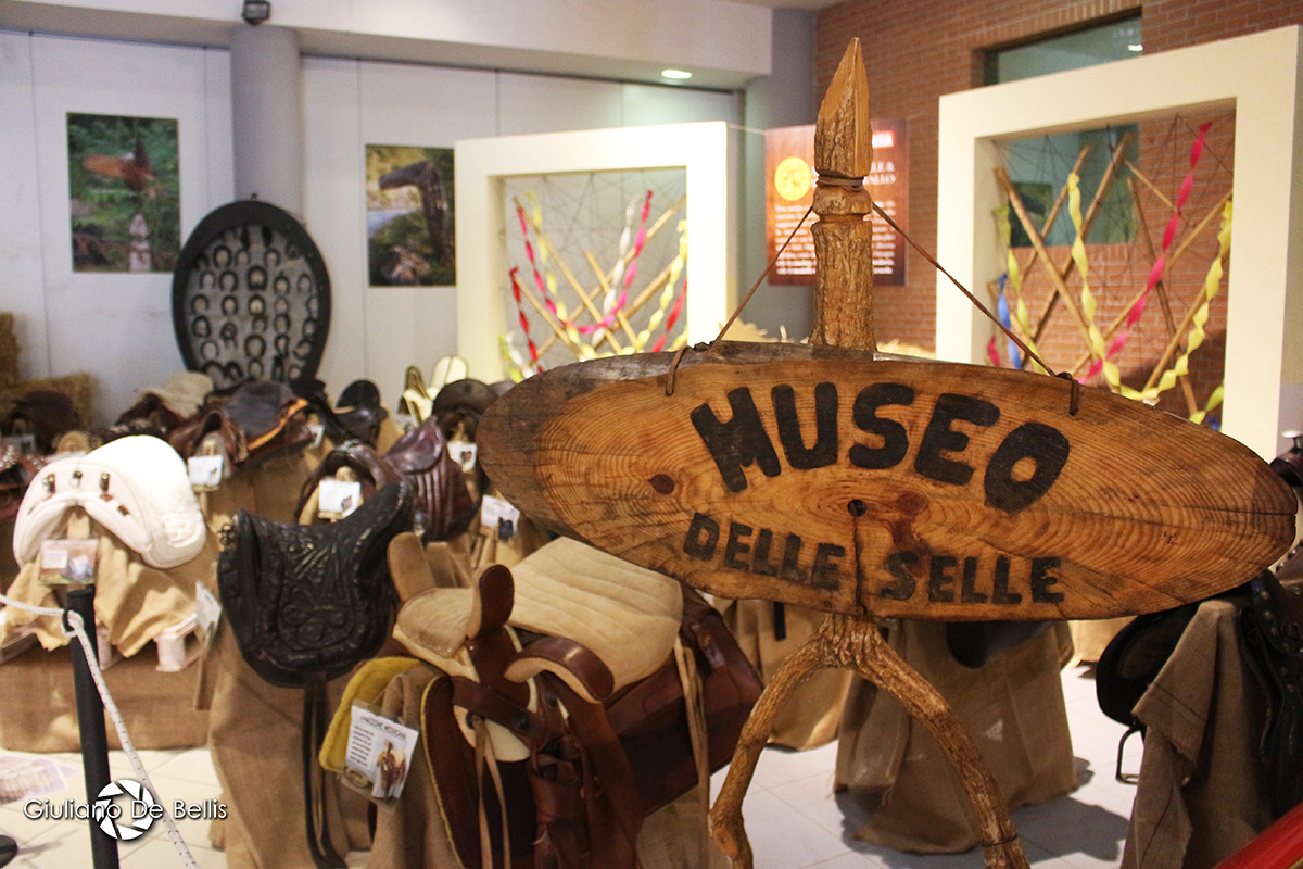 Cavalli e cavalieri mugellani alla Fiera di Forli