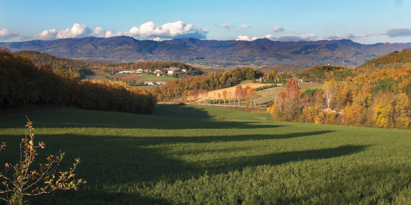 Vivere distante... l'Alto Mugello. Problemi e opportunità di un territorio