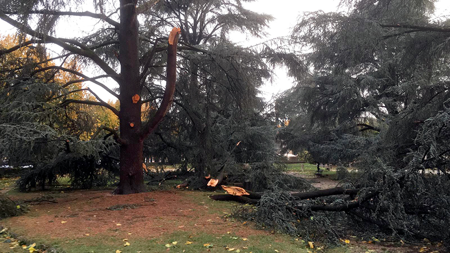 Danni maltempo di ottobre. Domande entro il 13 dicembre. Info