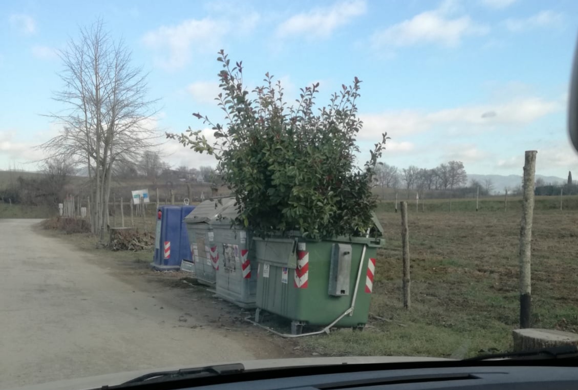 foto del giorno cassonetto