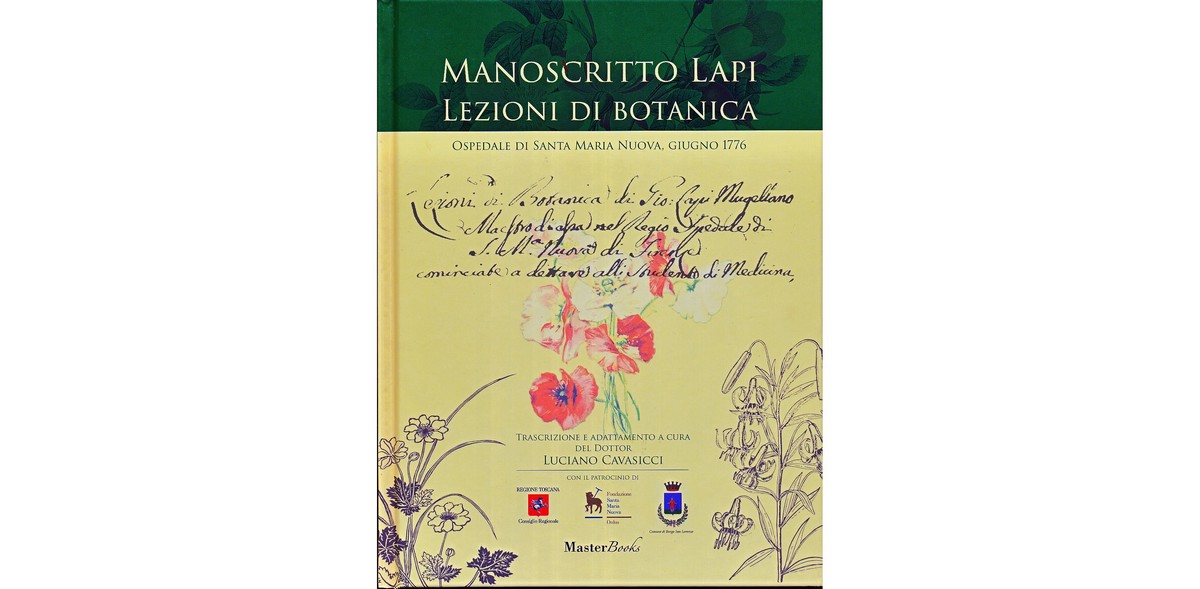 frontespizio libro Lapi