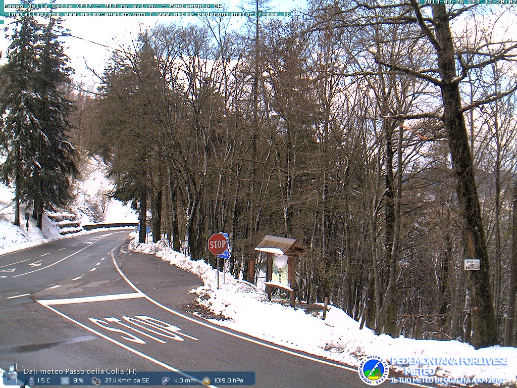 Neve marzolina, dalla sera alla mattina... Sarà, ma è un freddo...