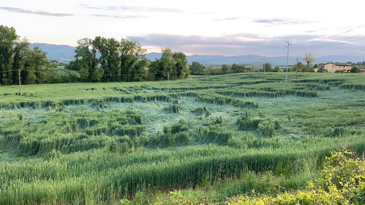 Cerchi nel grano in Mugello? La nuova Foto del Giorno