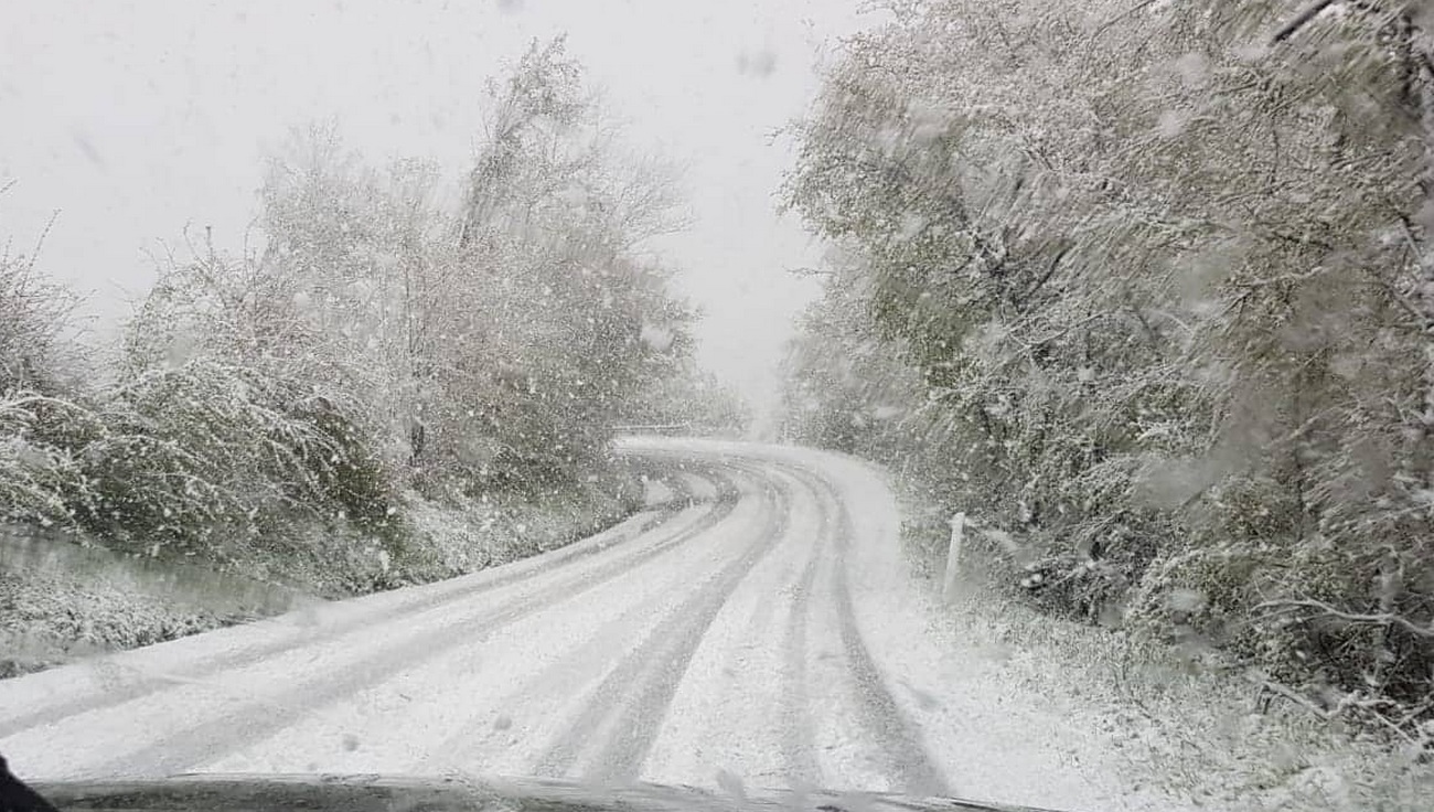 Neve su Futa e Raticosa. Foto del giorno (ed era il 5 maggio...)