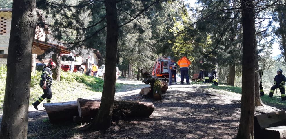 Bosco in fiamme? Le foto dell'esercitazione di ieri a Grezzano