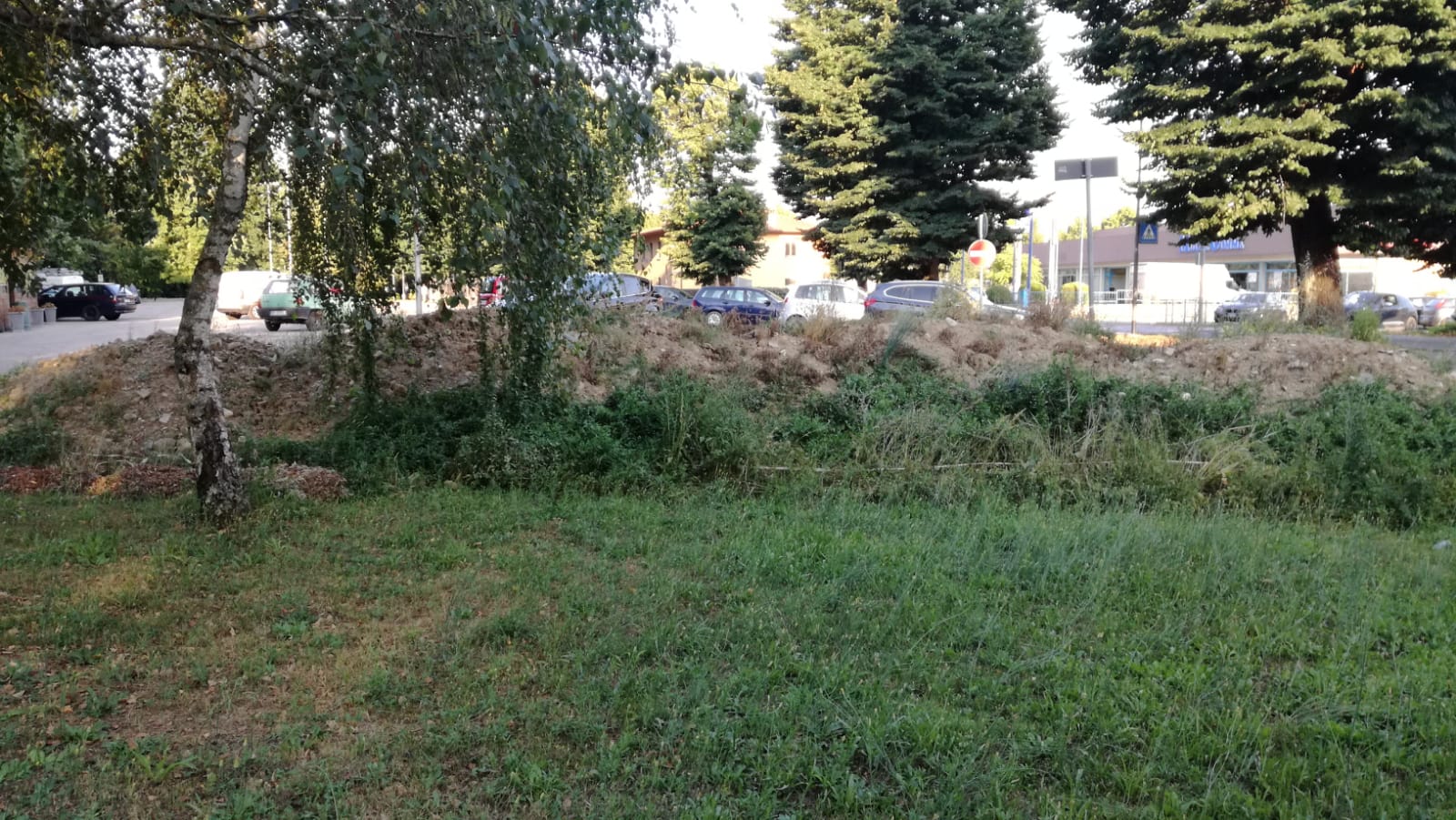 Cumuli di terra accumulati al parco. Le domande dell'opposizione