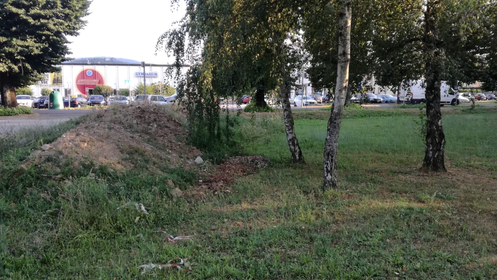 rifiuti parco pertini