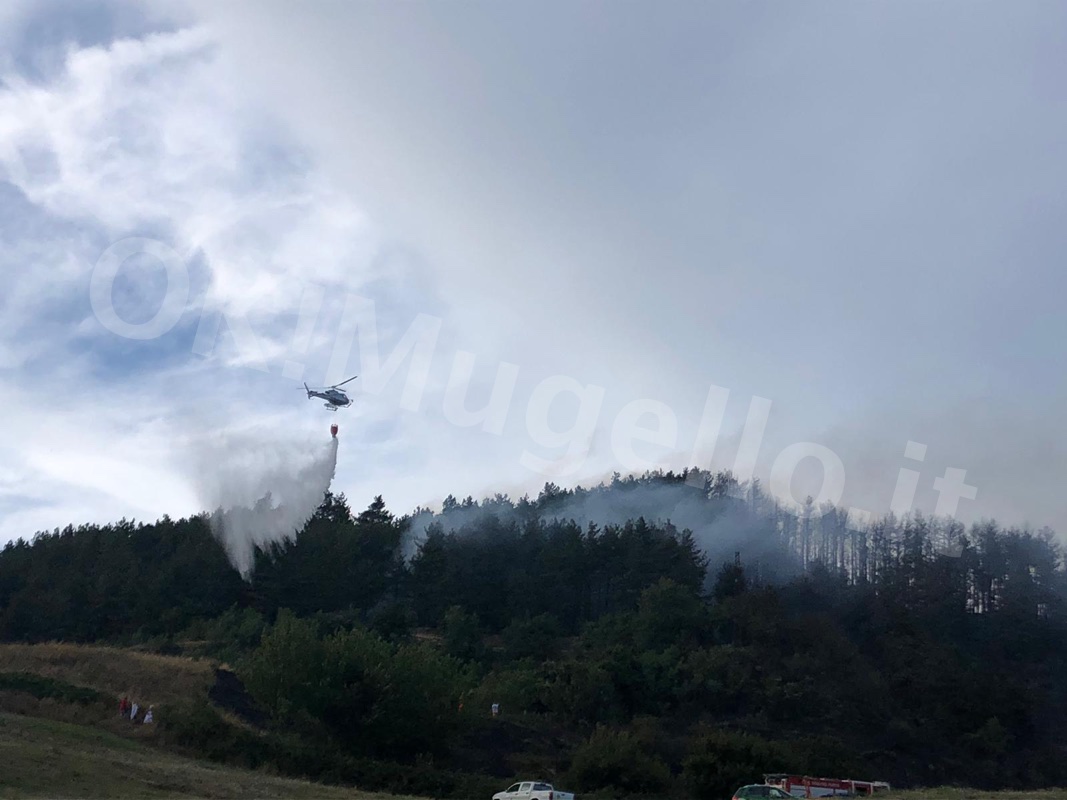 incendio-casaglia1-17 Aug 2019