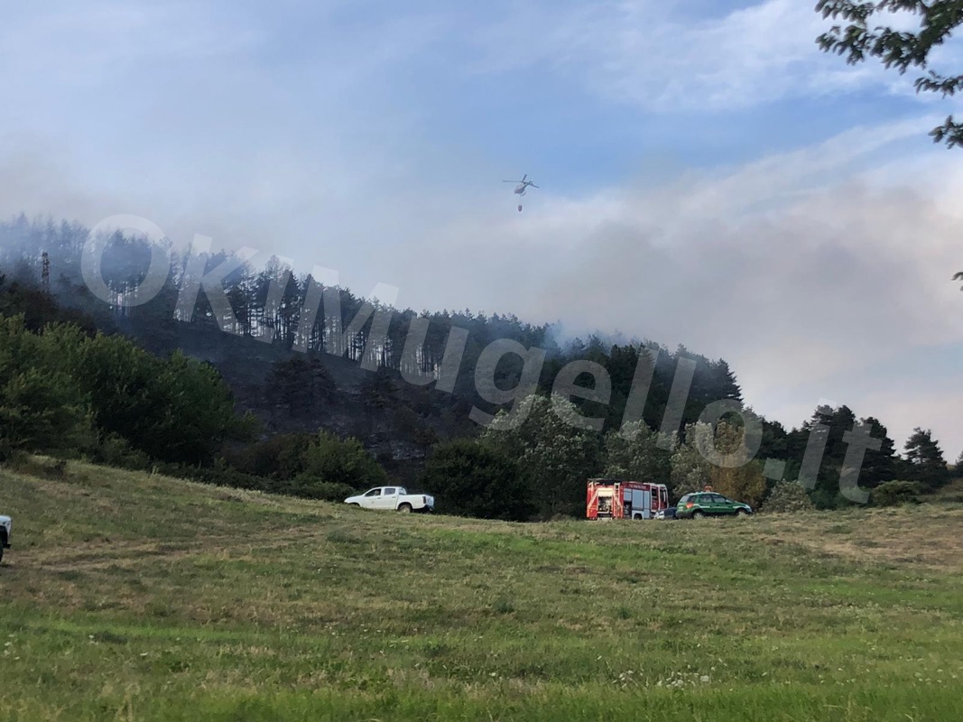 incendio-casaglia3-17 Aug 2019