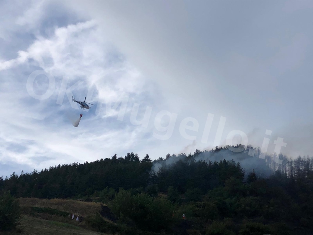 incendio-casaglia4-17 Aug 2019