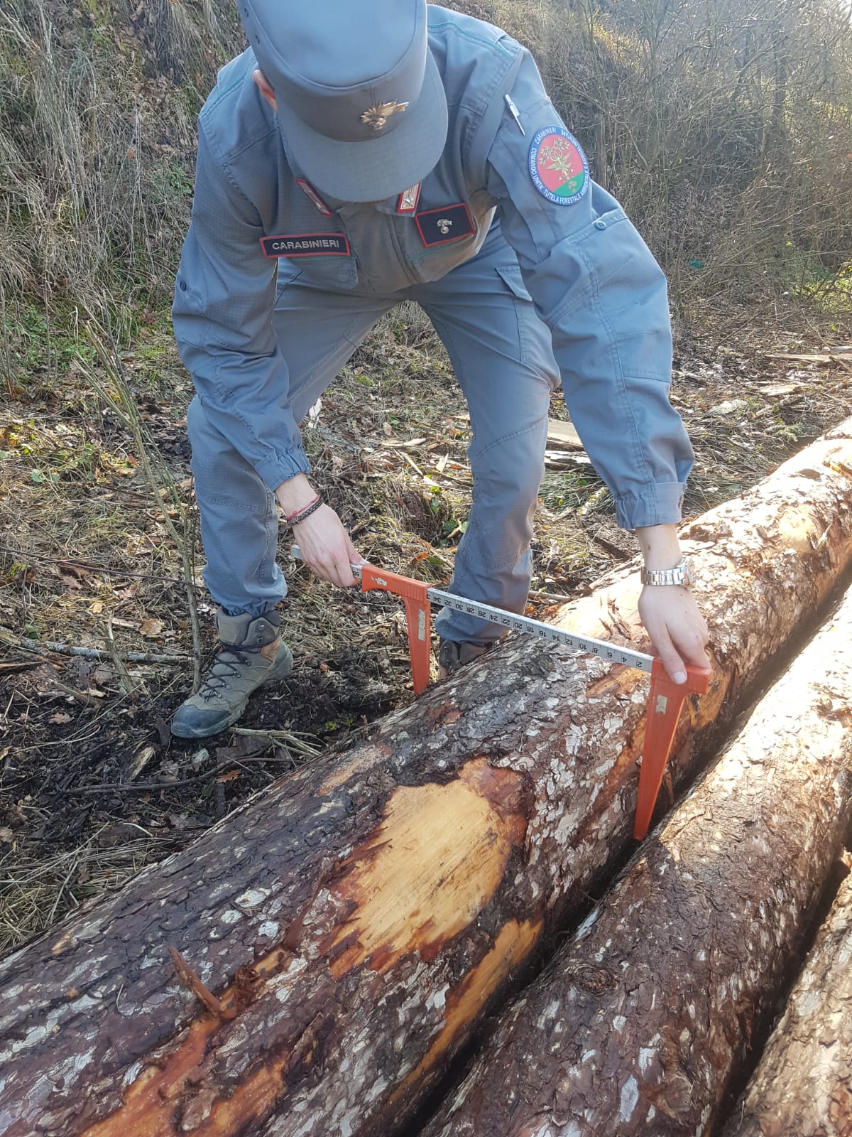 IMG-20190205-WA0027 (1)