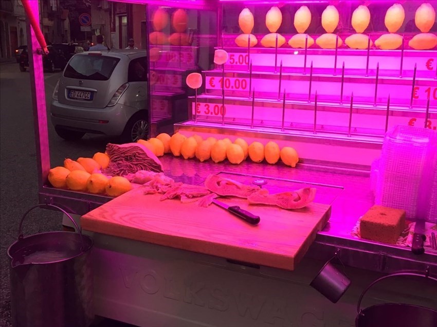 Specialità di Pietramelara , muso di vitello !!