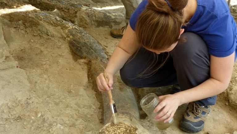 Cinquantanni di attività del Gruppo Archeologico di Dicomano