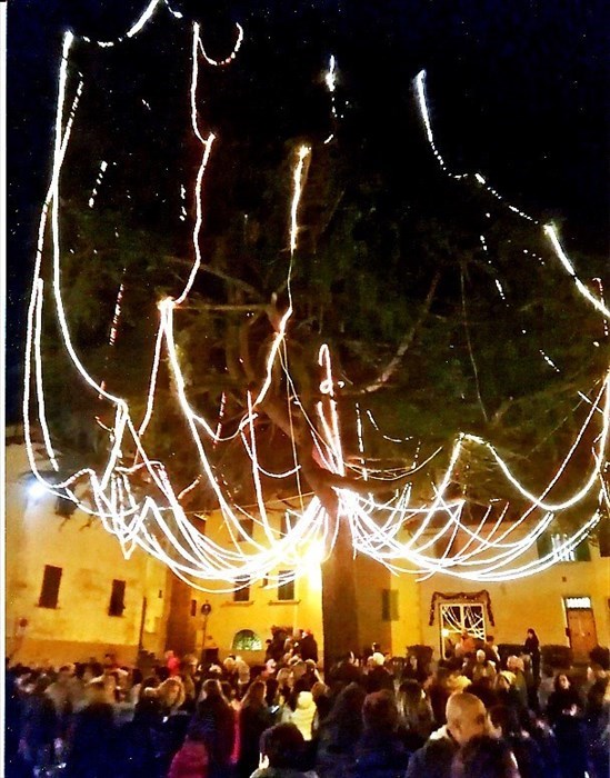 Il maestoso albero in piazza del Poggio illuminato a festa