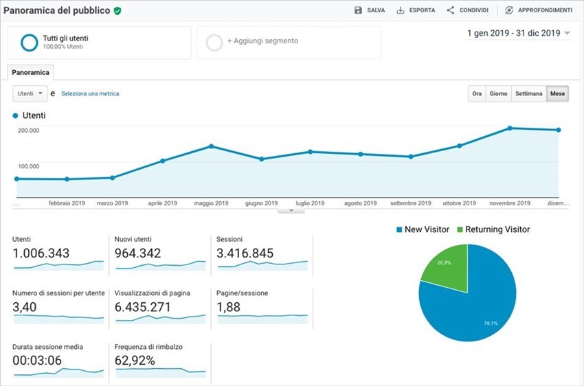 Panoramica accessi anno 2019