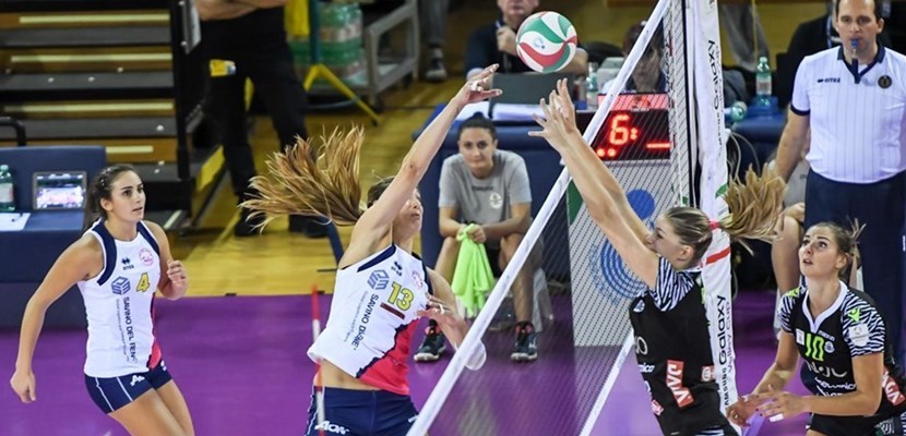 Savino del bene - bisonte