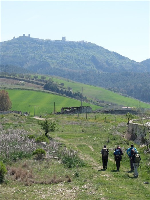 Camminando in campagna