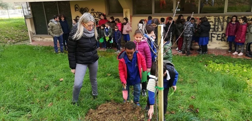 La messa a dimora dell'albero a Ronta