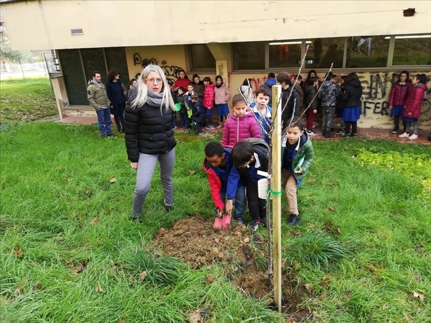 Ronta, i bambini e i loro pensieri per l'albero