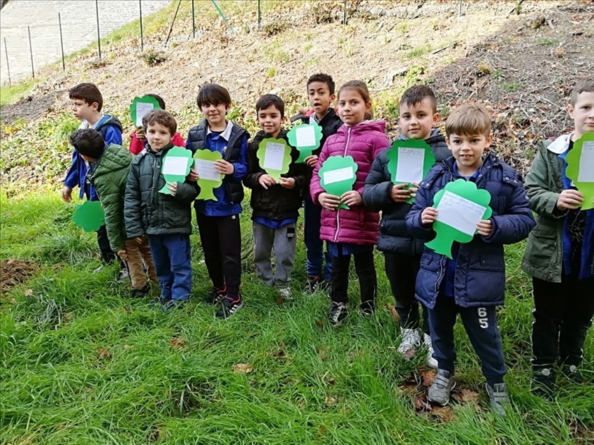 Ronta, i bambini e i loro pensieri per l'albero
