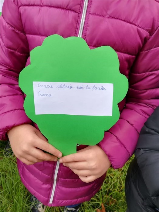 Ronta, i bambini e i loro pensieri per l'albero