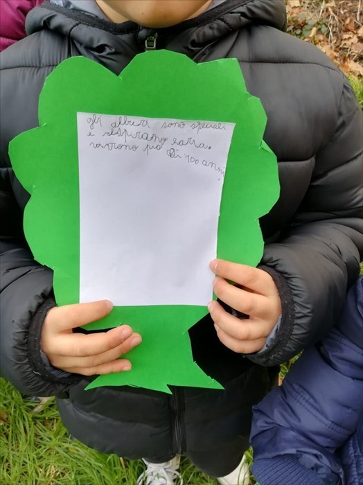 Ronta, i bambini e i loro pensieri per l'albero